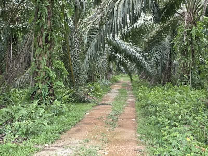 Industrial Land for Sale in Kampung Tambak Jawa (Jeram) - Jazz Khoo - PropertyGuru.com.my