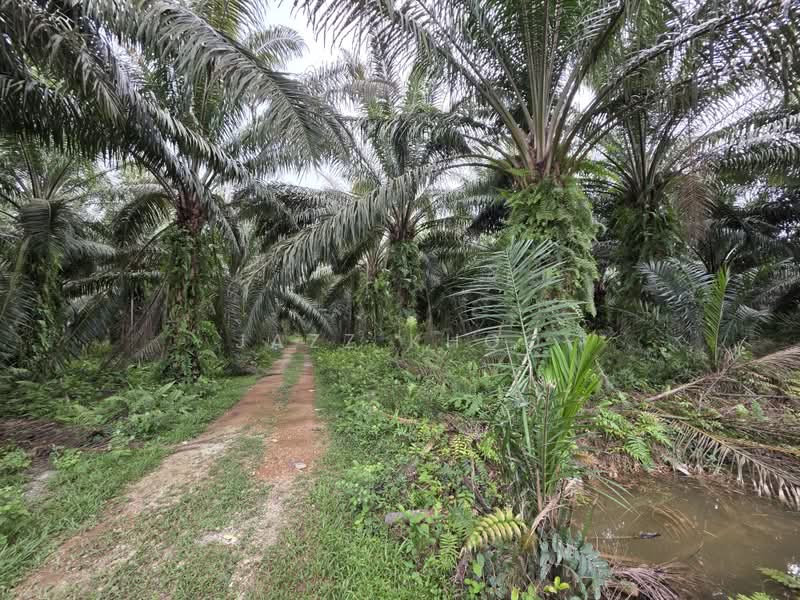 Industrial Land for Sale in Kampung Tambak Jawa (Jeram) - Jazz Khoo - PropertyGuru.com.my