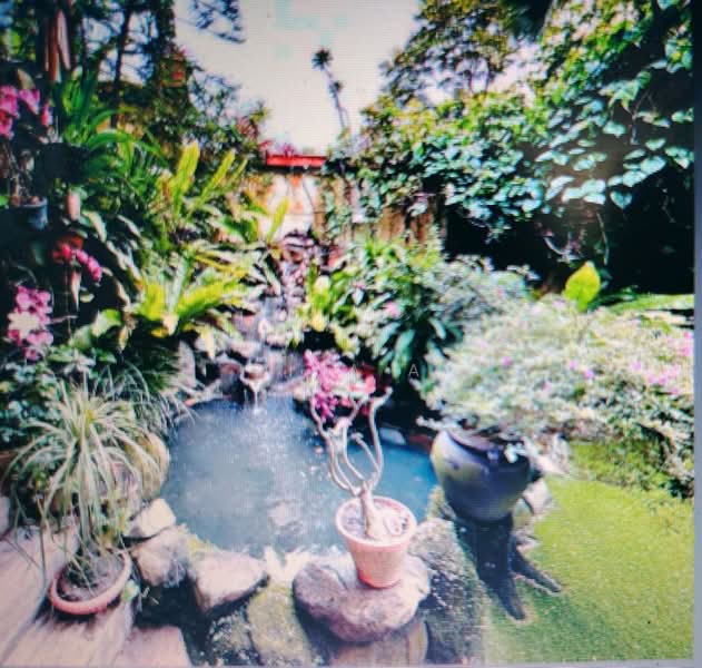 Semi-Detached House for Sale in Kelana Jaya (Petaling Jaya) - Lina A - water feature with koi pond - PropertyGuru.com.my