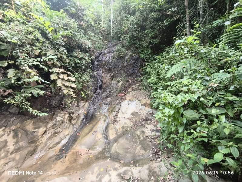 Agricultural Land for Sale in Kerling (Selangor) - calvin soh - PropertyGuru.com.my