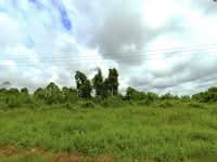 For Sale - L0074 Agriculture Land @ Asajaya Telok Sabang