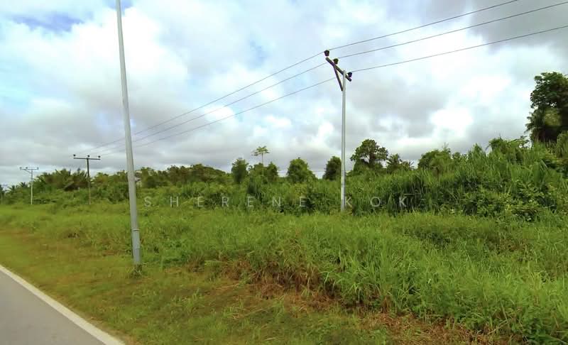 Agricultural Land for Sale in Asajaya (Sarawak) - Sherene Kok - PropertyGuru.com.my
