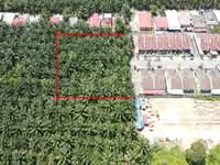 For Sale - FREEHOLD OPEN KG SUNGAI PINANG BERSEBELAH TAMAN PERUMAHAN