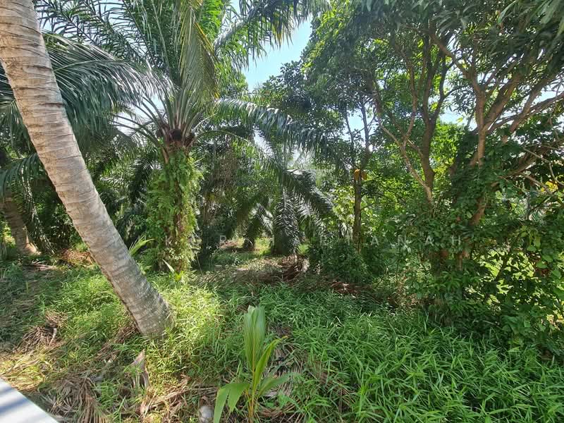 Residential Land for Sale in Klang (Selangor) - Syukor Hartanah - Garden - PropertyGuru.com.my