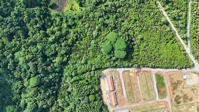 Tanah Pertanian untuk Dijual di Santubong (Kuching) - Sherene Kok - Exterior - PropertyGuru.com.my
