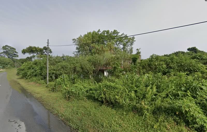 Tanah Pertanian untuk Dijual di Sungai Maong (Kuching) - Sherene Kok - Exterior - PropertyGuru.com.my