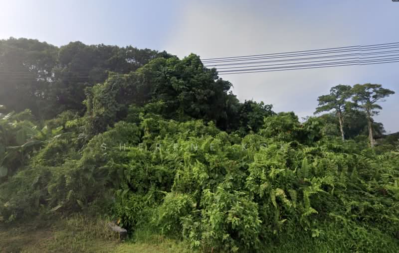 Tanah Pertanian untuk Dijual di Sungai Maong (Kuching) - Sherene Kok - Exterior - PropertyGuru.com.my