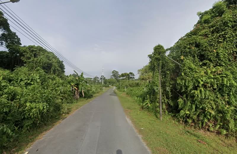 Tanah Pertanian untuk Dijual di Sungai Maong (Kuching) - Sherene Kok - Exterior - PropertyGuru.com.my