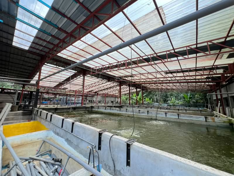 Agricultural Land for Sale in Selayang (Selangor) - Kim Meng Lew - Exterior - PropertyGuru.com.my