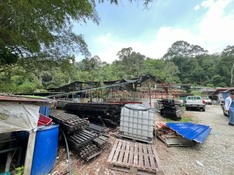 Agricultural Land for Sale in Selayang (Selangor) - Kim Meng Lew - PropertyGuru.com.my