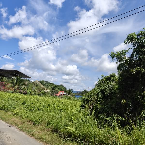 Agricultural Land for Sale in Sungai Moyan (Kuching) - Sherene Kok - Exterior - PropertyGuru.com.my