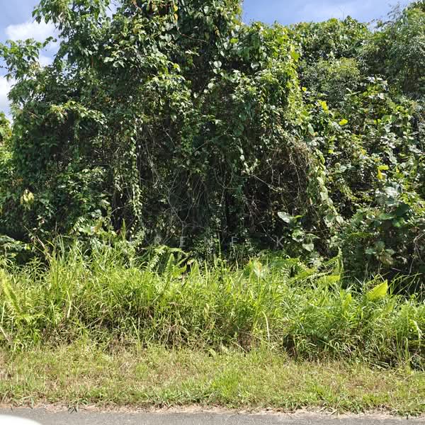 Agricultural Land for Sale in Sungai Moyan (Kuching) - Sherene Kok - Exterior - PropertyGuru.com.my