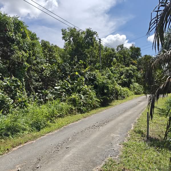 Agricultural Land for Sale in Sungai Moyan (Kuching) - Sherene Kok - Exterior - PropertyGuru.com.my