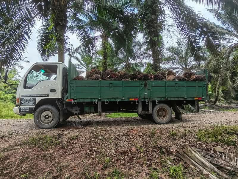 Tanah Pertanian untuk Dijual di Ayer Baloi (Johor) - Mindy Lee - PropertyGuru.com.my