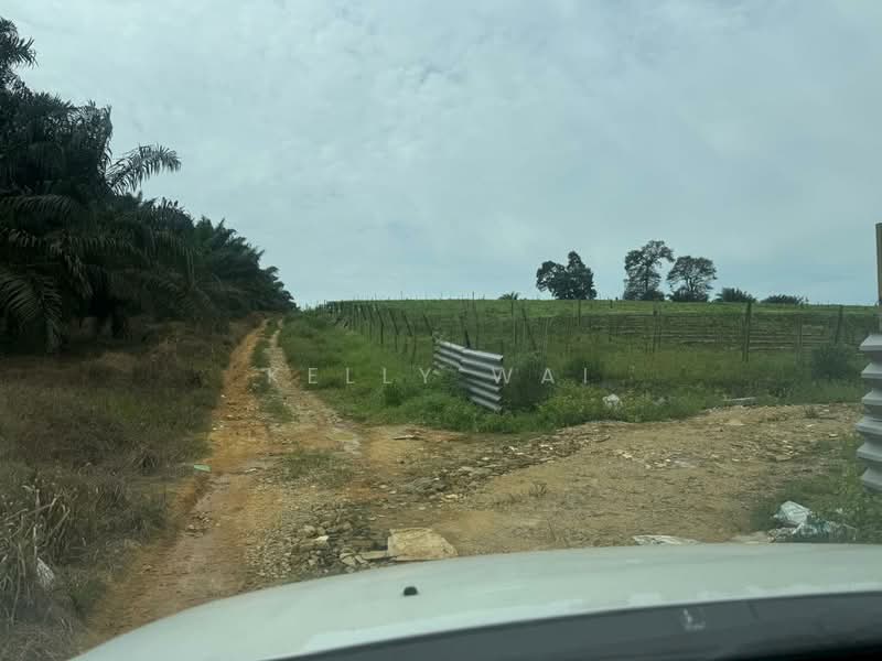 Tanah Perindustrian untuk Dijual di Pekan Nanas (Johor) - Kelly Wai - Exterior - PropertyGuru.com.my