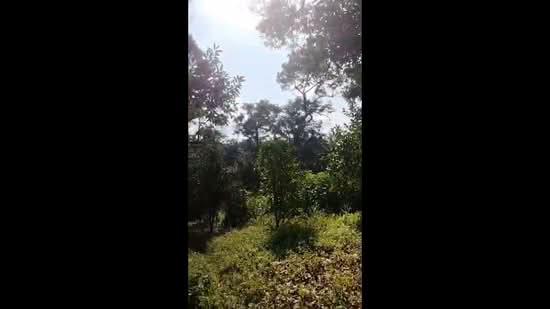 Tanah Pertanian untuk Dijual di Kangkar Pulai (Pulai) - Ashley Goh - PropertyGuru.com.my