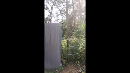 Tanah Pertanian untuk Dijual di Kangkar Pulai (Pulai) - Ashley Goh - PropertyGuru.com.my