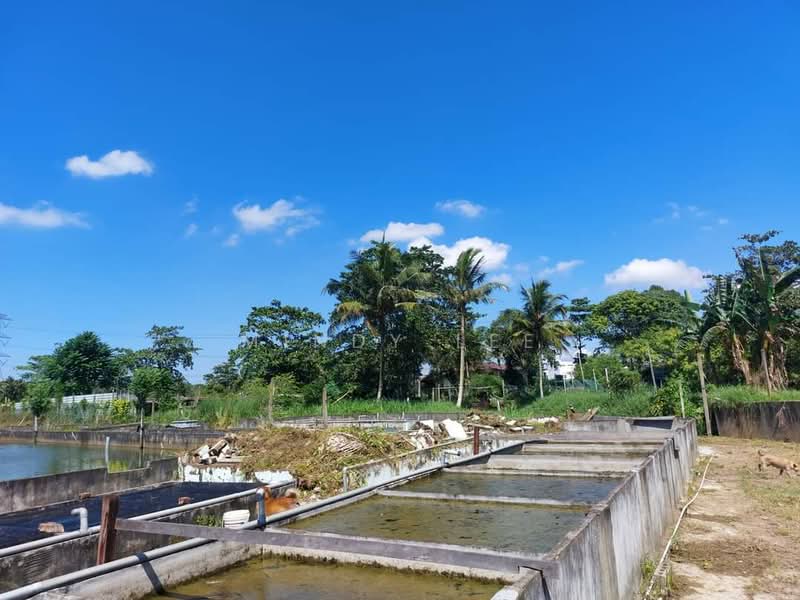 Agricultural Land for Sale in Taman Desa Cemerlang (Ulu Tiram) - Mindy Lee - Exterior - PropertyGuru.com.my