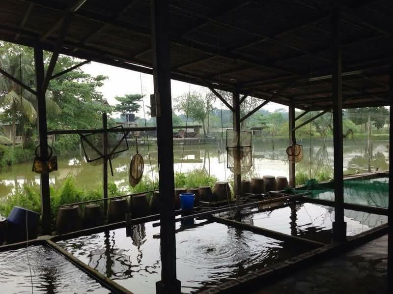 Agricultural Land for Sale in Taman Desa Cemerlang (Ulu Tiram) - Mindy Lee - Exterior - PropertyGuru.com.my