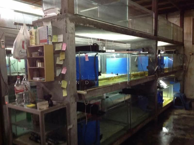 Agricultural Land for Sale in Taman Desa Cemerlang (Ulu Tiram) - Mindy Lee - Interior - PropertyGuru.com.my