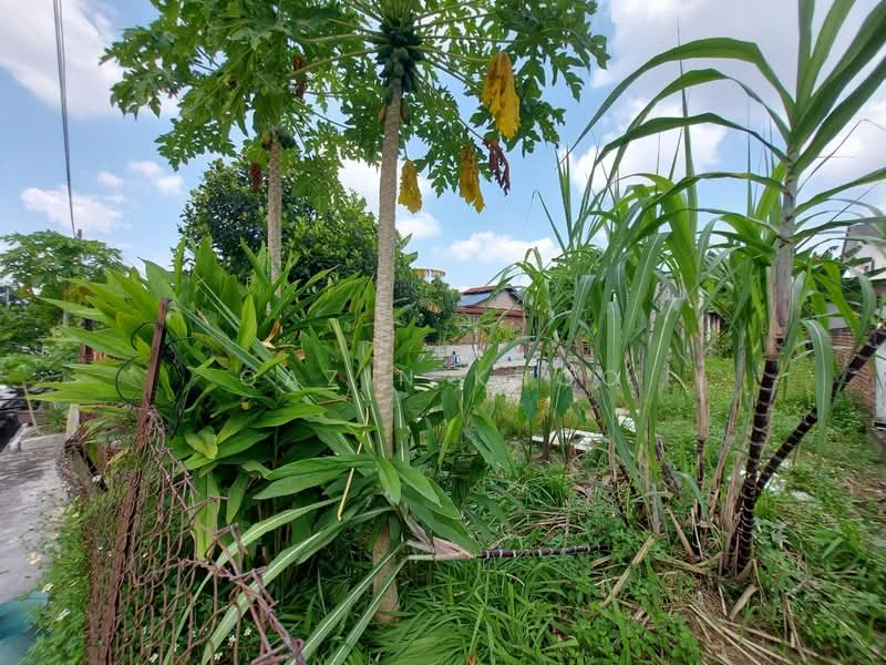 Residential Land for Sale in Kampung Tawas (Ipoh) - Qazin Khoo - Garden - PropertyGuru.com.my
