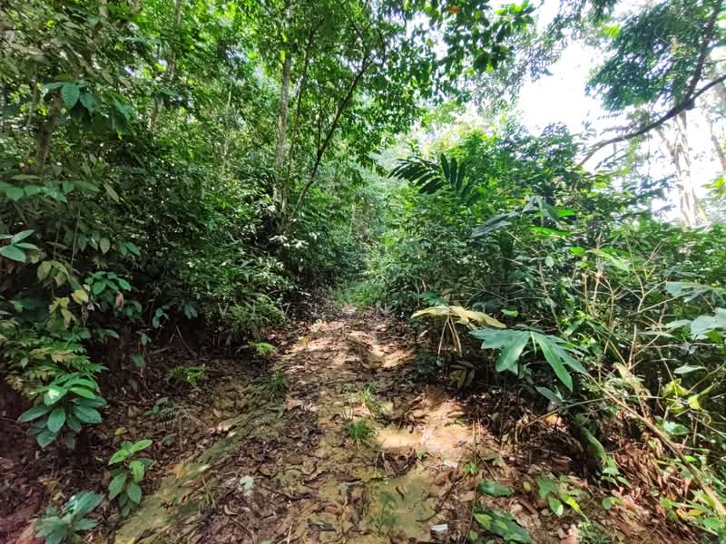 Agricultural Land for Sale in Semenyih (Selangor) - Vivian Ho - PropertyGuru.com.my