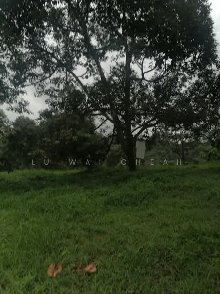 Agricultural Land for Sale in Pantai (Negeri Sembilan) - Lu Wai Cheah - PropertyGuru.com.my
