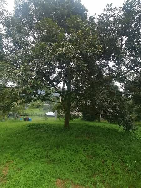 Agricultural Land for Sale in Pantai (Negeri Sembilan) - Lu Wai Cheah - PropertyGuru.com.my
