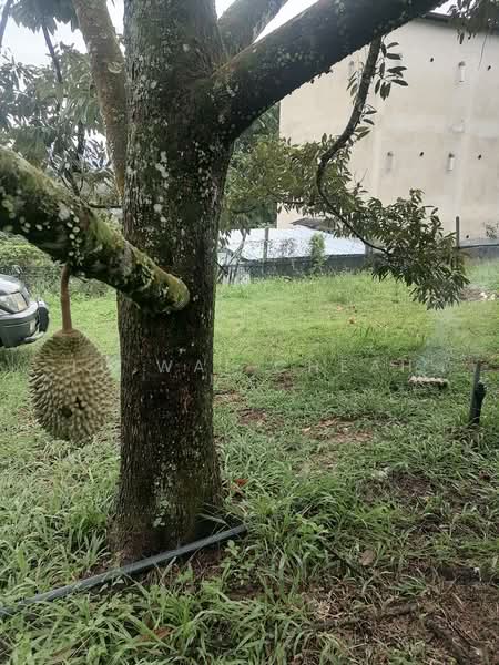 Agricultural Land for Sale in Pantai (Negeri Sembilan) - Lu Wai Cheah - PropertyGuru.com.my
