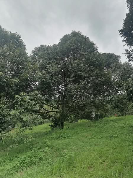 Agricultural Land for Sale in Pantai (Negeri Sembilan) - Lu Wai Cheah - PropertyGuru.com.my