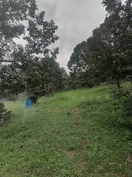 Agricultural Land for Sale in Pantai (Negeri Sembilan) - Lu Wai Cheah - PropertyGuru.com.my