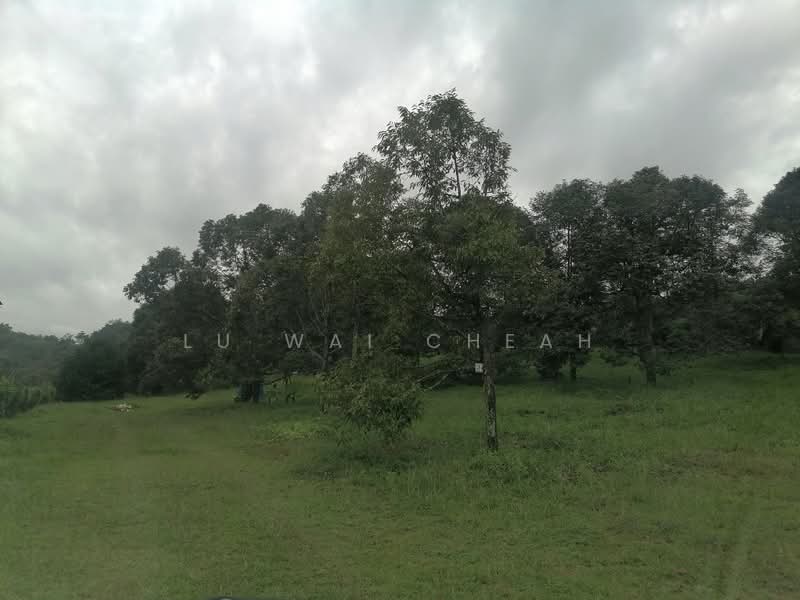 Agricultural Land for Sale in Pantai (Negeri Sembilan) - Lu Wai Cheah - PropertyGuru.com.my