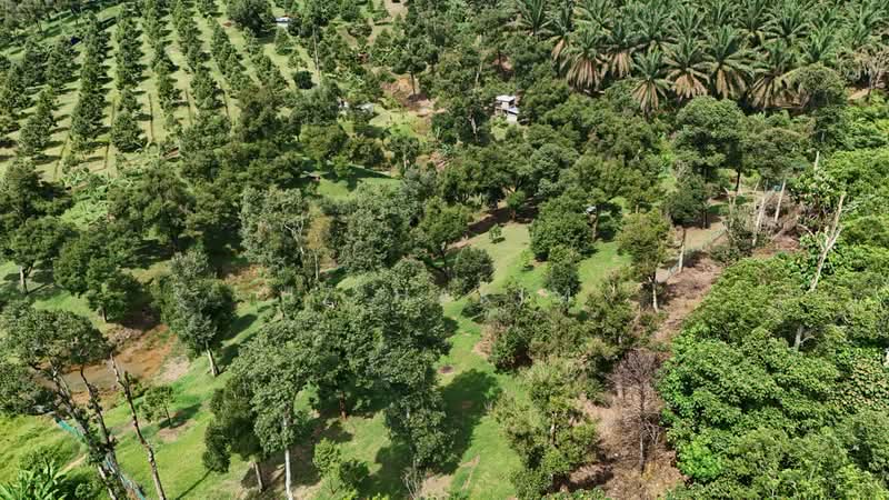 Agricultural Land for Sale in Kerling (Selangor) - Iz Hakim - Exterior - PropertyGuru.com.my