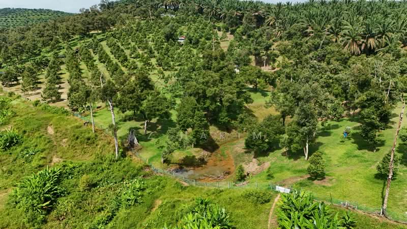 Agricultural Land for Sale in Kerling (Selangor) - Iz Hakim - Exterior - PropertyGuru.com.my