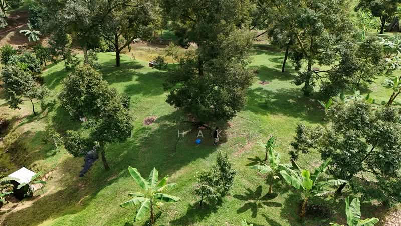 Agricultural Land for Sale in Kerling (Selangor) - Iz Hakim - Exterior - PropertyGuru.com.my