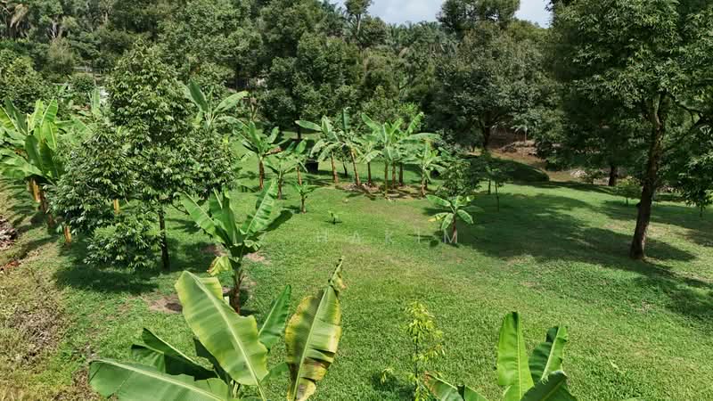 Agricultural Land for Sale in Kerling (Selangor) - Iz Hakim - Garden - PropertyGuru.com.my