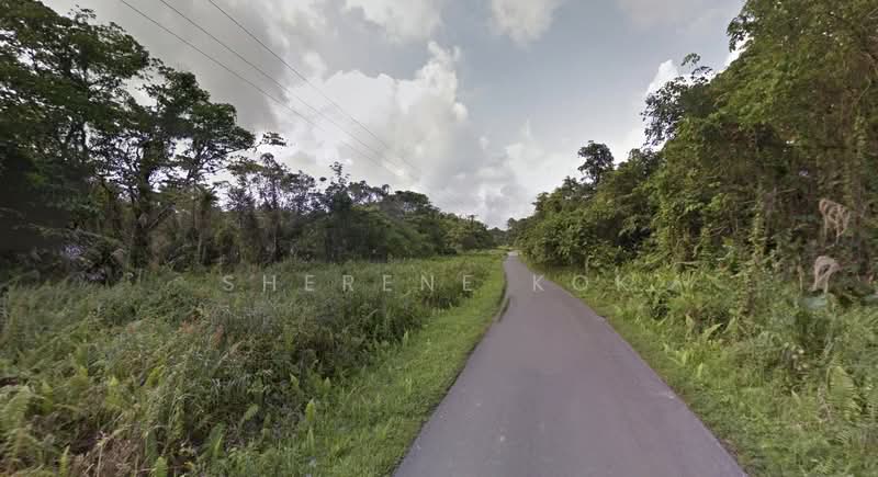 Tanah Pertanian untuk Dijual di Moyan (Kuching) - Sherene Kok - Exterior - PropertyGuru.com.my