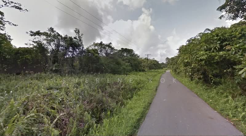 Tanah Pertanian untuk Dijual di Moyan (Kuching) - Sherene Kok - Exterior - PropertyGuru.com.my