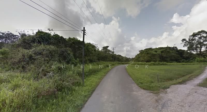 Tanah Pertanian untuk Dijual di Moyan (Kuching) - Sherene Kok - Exterior - PropertyGuru.com.my