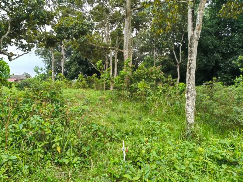 Tanah Kediaman untuk Dijual di Kampung Bangi (Bangi) - Haziq Bohari - Garden - PropertyGuru.com.my