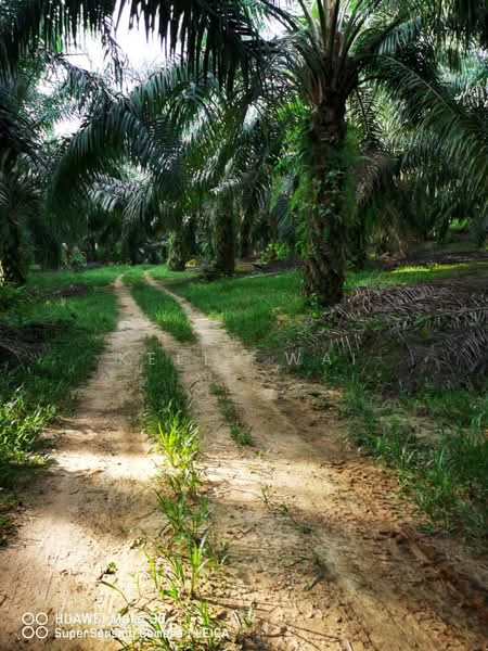 Tanah Pertanian untuk Dijual di Kuala Pilah (Negeri Sembilan) - Kelly Wai - Exterior - PropertyGuru.com.my