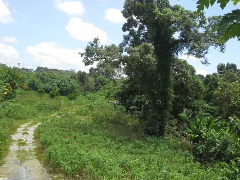 Tanah Pertanian untuk Dijual di Serian (Sarawak) - Sherene Kok - Exterior - PropertyGuru.com.my