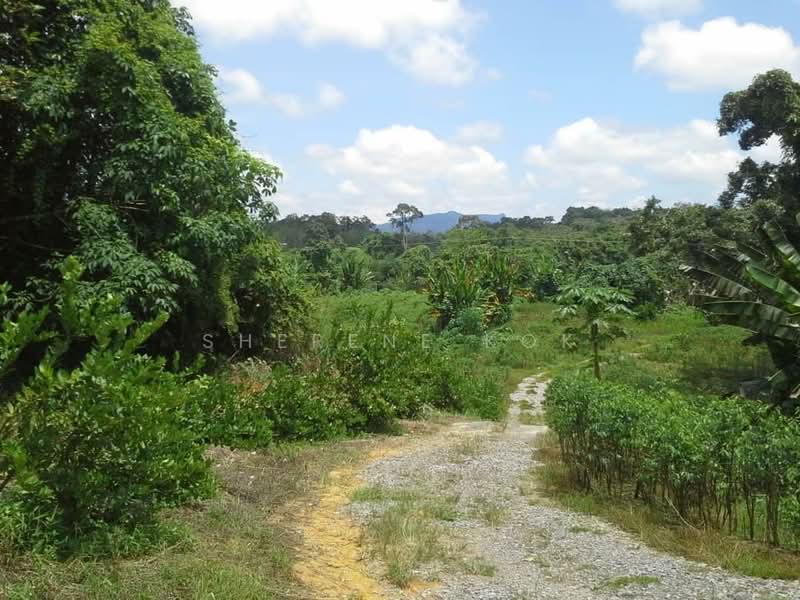 Tanah Pertanian untuk Dijual di Serian (Sarawak) - Sherene Kok - Garden - PropertyGuru.com.my
