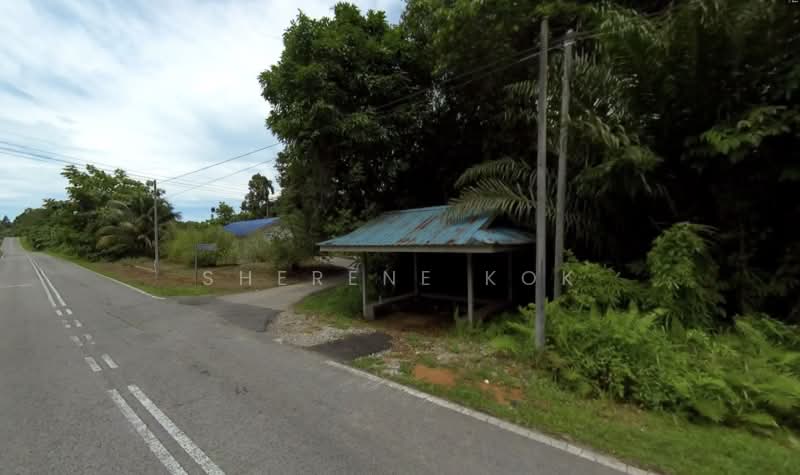 Agricultural Land for Sale in Kampung Sekambal (Lundu) - Sherene Kok - PropertyGuru.com.my