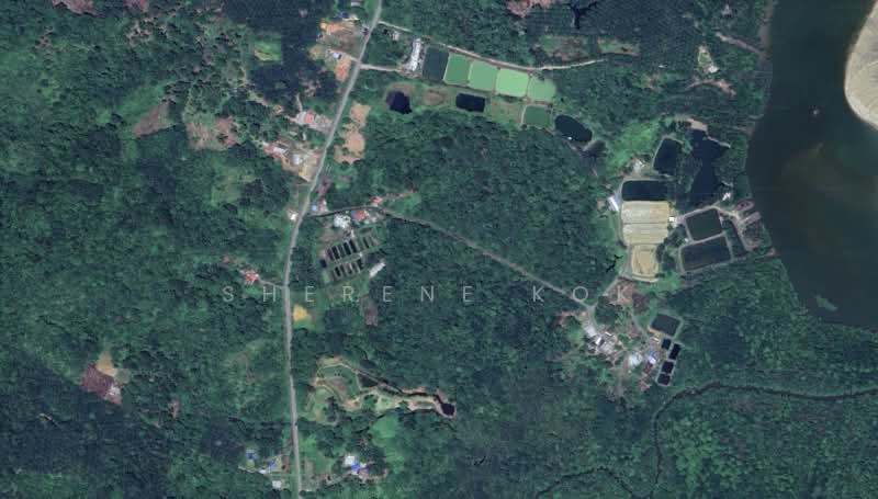 Agricultural Land for Sale in Kampung Sekambal (Lundu) - Sherene Kok - Exterior - PropertyGuru.com.my