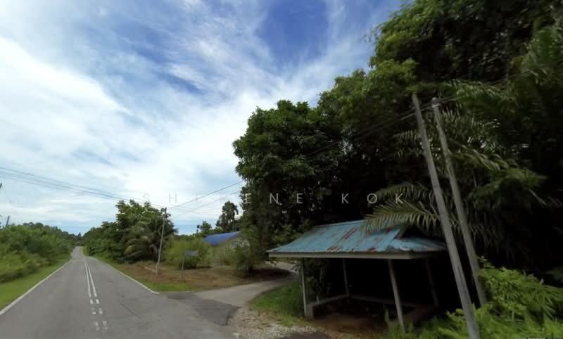 Agricultural Land for Sale in Kampung Sekambal (Lundu) - Sherene Kok - PropertyGuru.com.my