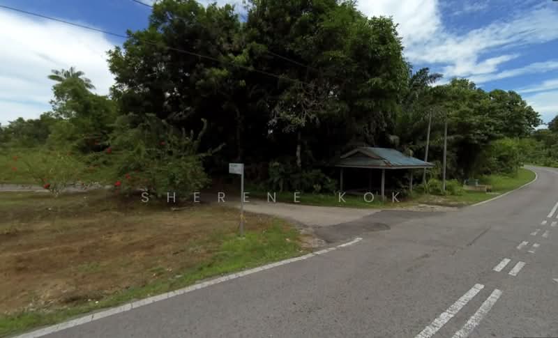 Agricultural Land for Sale in Kampung Sekambal (Lundu) - Sherene Kok - Exterior - PropertyGuru.com.my