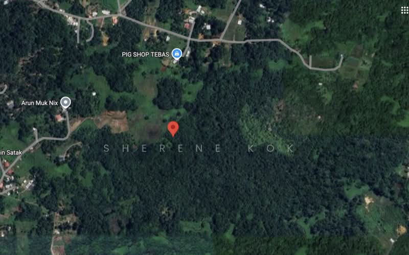 Agricultural Land for Sale in Kuap (Kuching) - Sherene Kok - PropertyGuru.com.my