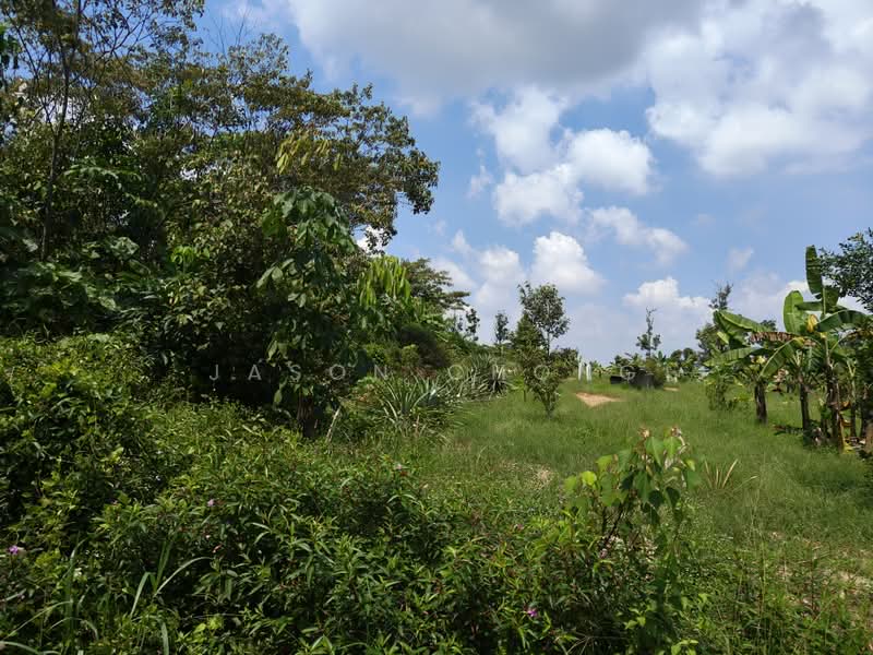 Agricultural Land for Sale in Lenggeng (Negeri Sembilan) - Jason Chong - Exterior - PropertyGuru.com.my