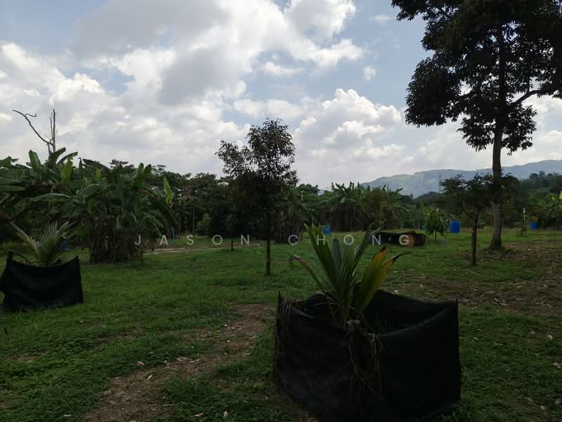 Agricultural Land for Sale in Lenggeng (Negeri Sembilan) - Jason Chong - Exterior - PropertyGuru.com.my